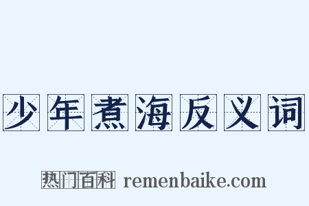 少年煮海反义词是什么意思的图片